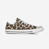 null : BEIGE/MARRONE