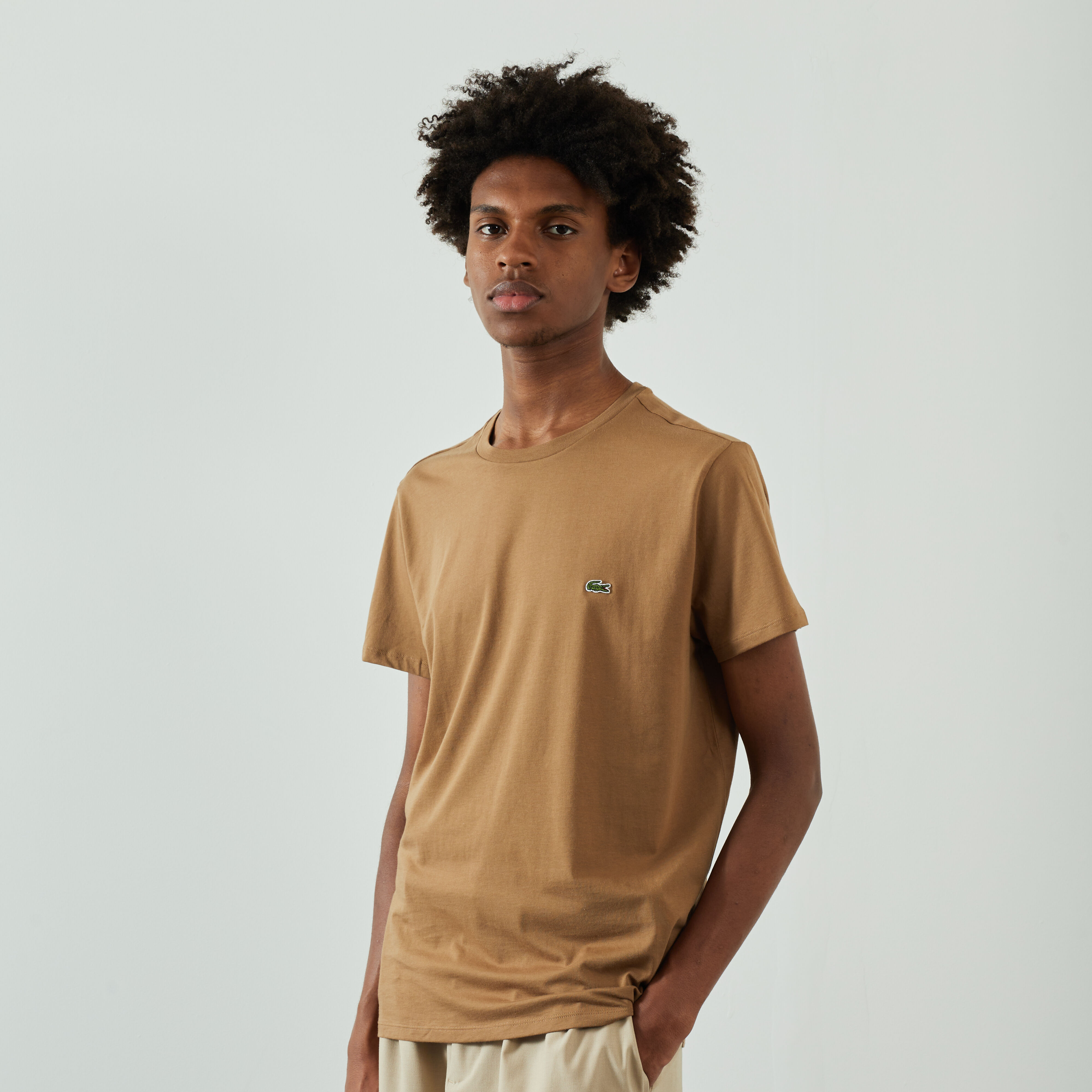 Lacoste marrone online