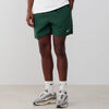 null : VERDE/BIANCO