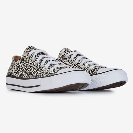 CONVERSE chuck taylor all star CHUCK TAYLOR ALL STAR OX CHEETHA MARRONE DONNA