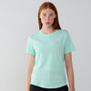 null : VERDE/BIANCO