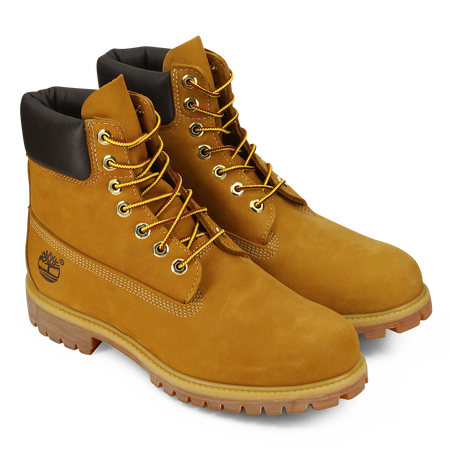 TIMBERLAND 6 inch 6 INCH BOOT MIEL MIELE UOMO